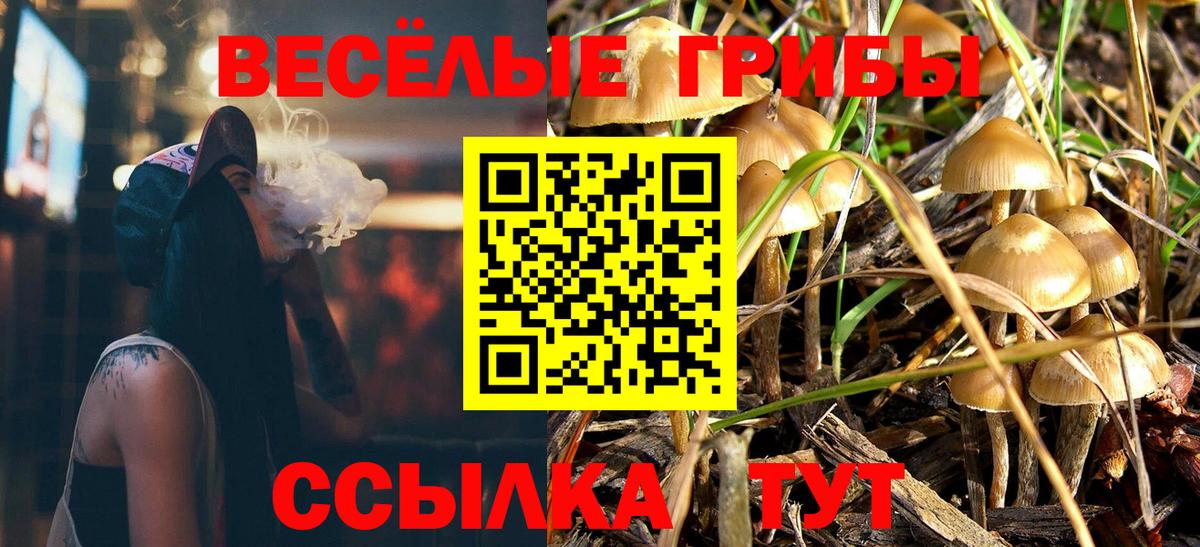 Псилоцибиновые грибы Psilocybe Щёлково